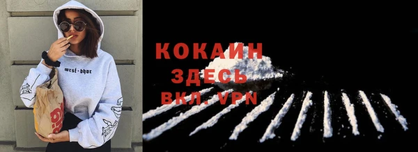 прущие грибы Абаза
