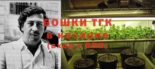 прущие грибы Абаза
