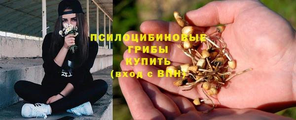 стафф Абинск