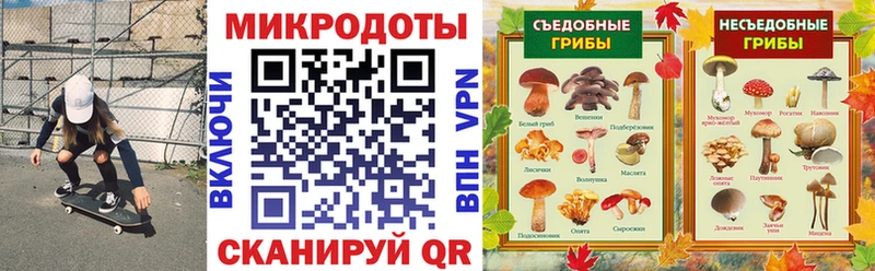 Псилоцибиновые грибы мухоморы Никольское